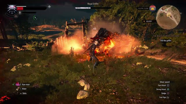 The Witcher 3: Wild Hunt – Game of the Year Edition_20170125154118