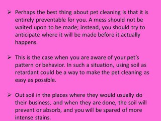 Pet Cleaning Services in Dubai