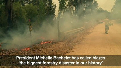 Chile continues to fight intense forest fire in central region