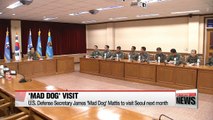 U.S. Defense Secretary James 'Mad Dog' Mattis to visit Seoul next month