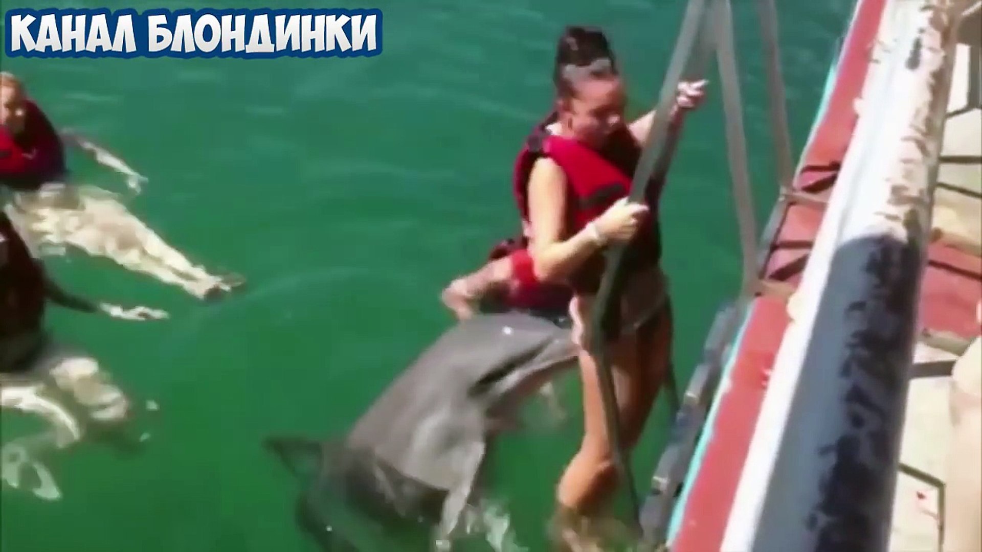 ПРИКОЛ №43 Лучшие приколы 2016. Ржака до усрачки