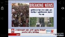 PETA filed a case against Jallikattu in Supreme Court