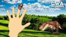 3D Dinosaurs Cartoons for Children | Dinosaur vs Dinosaur | Triceratops vs T-Rex
