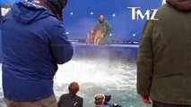 Dog on film set forced into hot water  