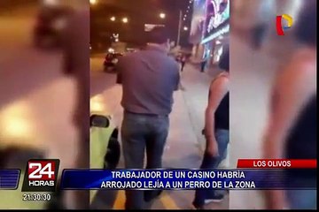 Los Olivos: denuncian que trabajador de casino habría rociado lejía a un perro