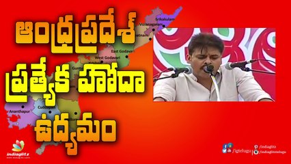 Pawan Kalyan Andhra Pradesh Special Status Protest