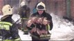 Ce pompier sauve plein de petits cochons piégés dans un incendie