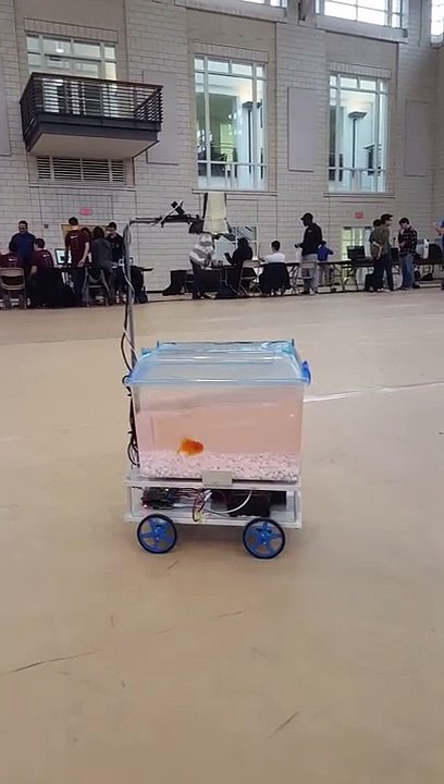 Un poisson pilote son aquarium motorisé... Plus de limite