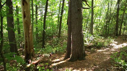 Best Fails of the Week 3 April 2016 || FailArmy