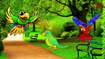 Parrot Finger Family | Finger Family Nursery Rhymes For Parrot Cartoon | Finger Family