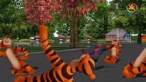 Ринга ringa Розы питомник 3д рифма | Человек-Паук танцует с тиграми | Детские песни