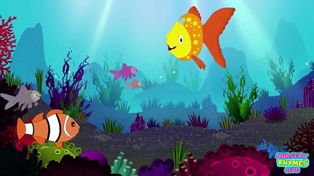 Machli Jal Ki Rani Hai | Hindi Nursery Rhyme | Machli Jal Ki Rani Hai with Lyrics