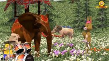 Dinosaur Vs Gorilla Fighting Funny 3D Animals Finger Family Songs | Dinosaur Short Movies