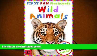 Read Book First Fun Flashcards Animals Belinda Gallagher  For Kindle