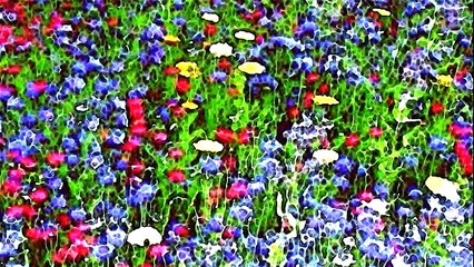 Quand tu souris Chanson Vincent LAMMOUR