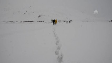 Buz Tutan Derede Balık Avı