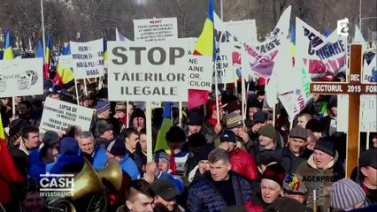 "Cash Investigation". Bois : la chaîne d'approvisionnement d'Ikea en Roumanie sent le soufre