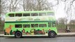 Lucky dogs receive sightseeing tour on London bus