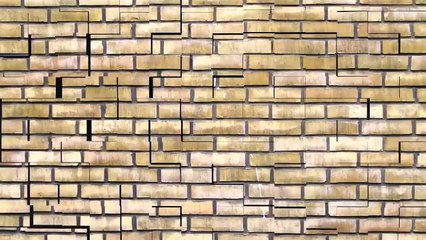 LA SPINA CHE SCOMPARE