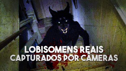 5 lobisomens Reais Capturados por câmeras