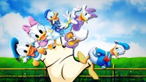 Finger Family Children Nursery Rhymes Donald Duck Cartoons For Children | Finger Family Rhymes