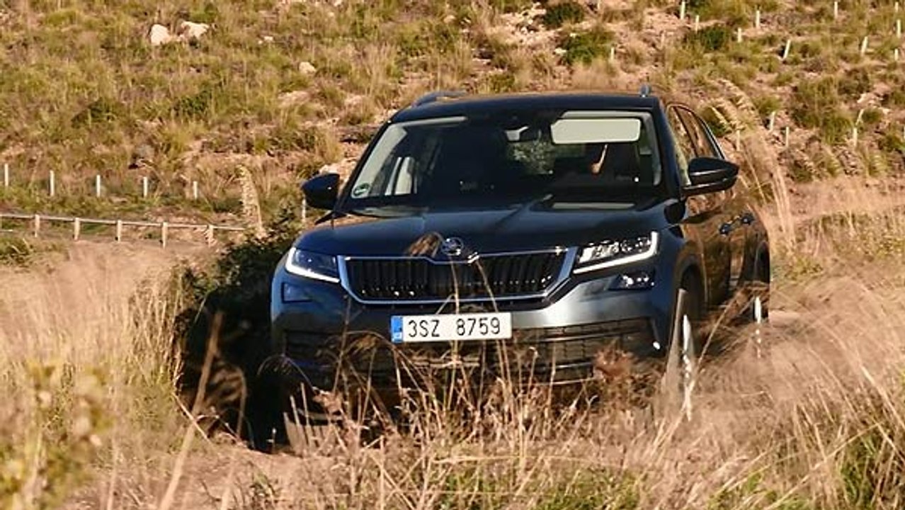 Skoda Kodiaq