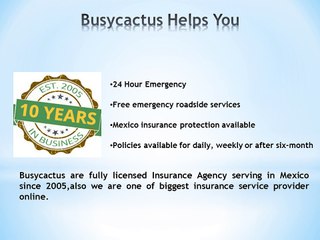 Best Online Mexican Auto Insurance - Busy Cactus