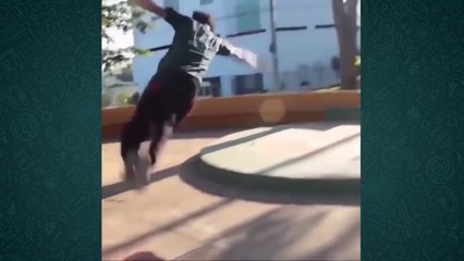 Vídeos Engraçados 2017 Para chorar de rir