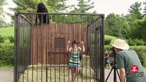 Harambe The Gorilla Interrupts Photo Shoot - Just For Laughs Gags