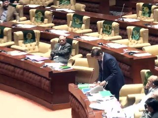 Sindh Assembly Session 25-01-17 SOT 1