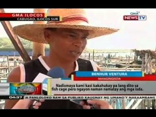 BP: Nasa 50,000 isda, apektado ng fish kill