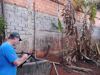 Crossbow Plinking.