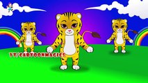 Tiger Funny Rhymes || Nursery Rhyme Compilation || Rhymes Collection By Cartoonmagics