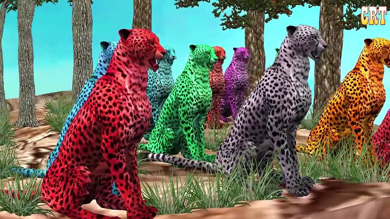 Tiger Colourful Colour Song || Children Rhymes For Nursery Rhymes Collection