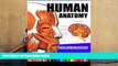 Read Online Human Anatomy Coloring Book: Anatomy   Physiology Coloring Book (Complete Workbook)