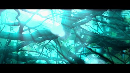 Full HD Video Test (1920 x 1080)