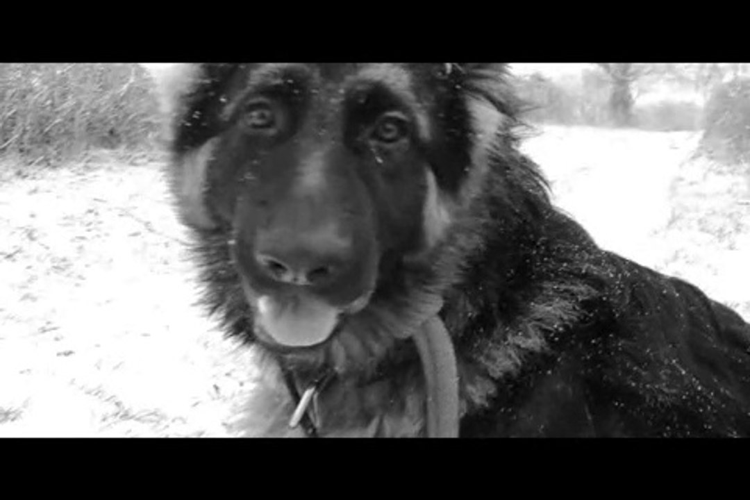 Le Rakuen promenades 2017-01 Marcus