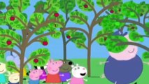 Peppa Pig English Episodes new - Movies new Animation Disney - Cartoons Children Films For
