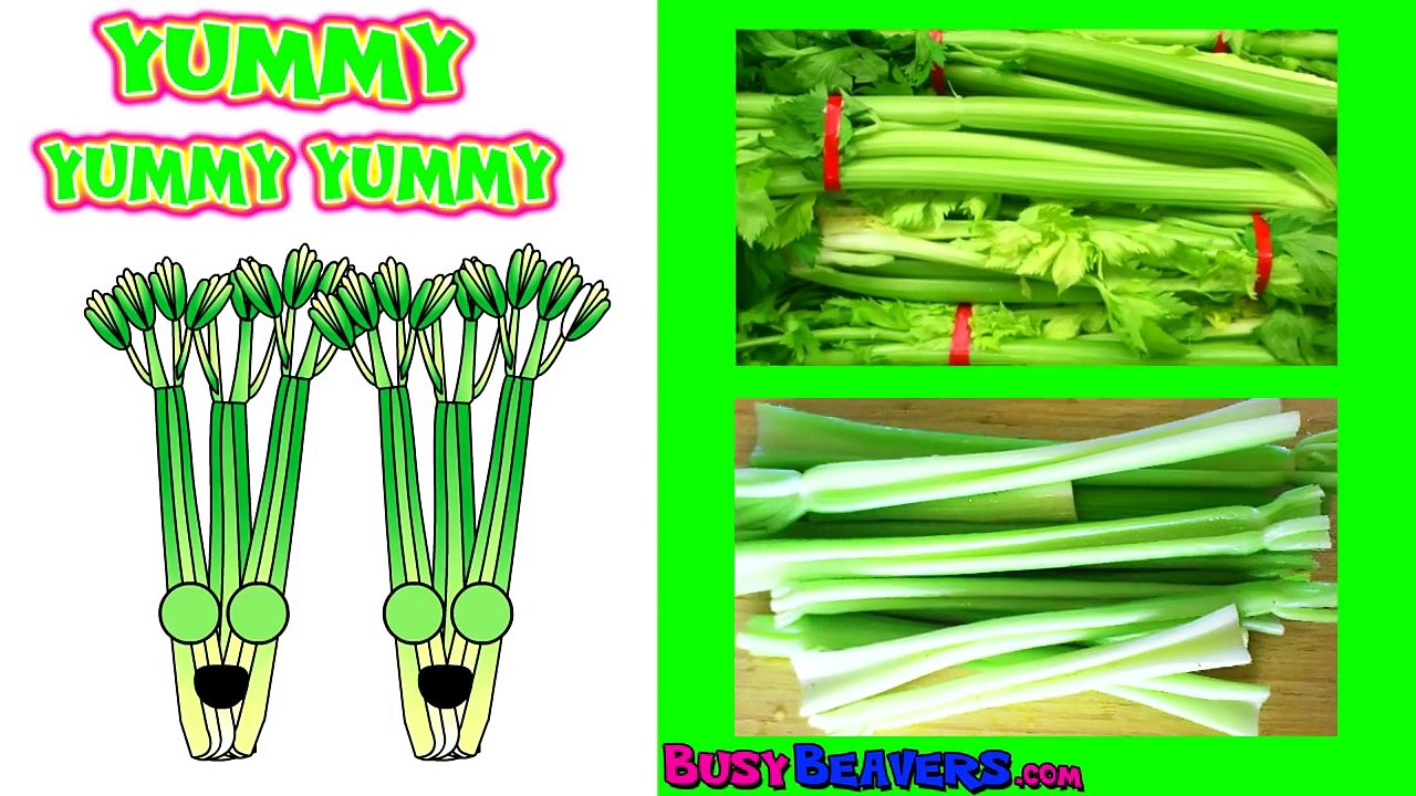 Five Little Ducks Collection | Plus + Nursery Rhymes, Numbers, Counting, ABC Songs by Baby Beavers