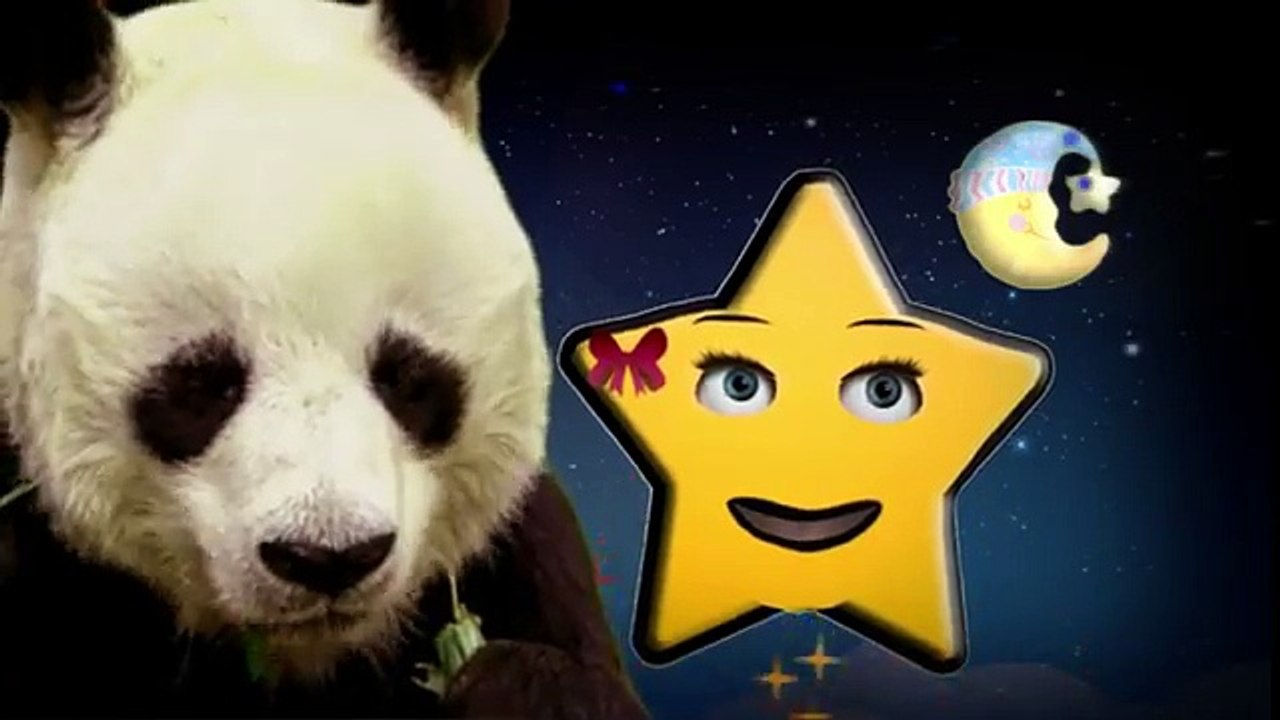 Twinkle Twinkle Little Star (Panda Bear)