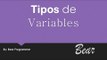 Tipos de variable// Principios  basicos de programacion