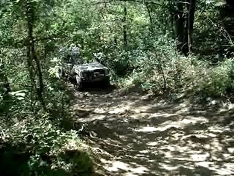 MOV00595