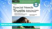 Big Deals  Special Needs Trusts: Protect Your Child s Financial Future (Special Needs Trust: