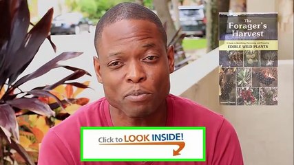 Look Inside The Forager's Harvest A Guide to Identifying review