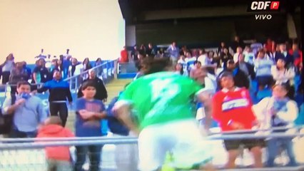 Sebastian Pol Kicks The Fan Of CD Universidad Católica!