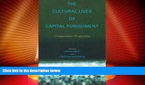 Must Have PDF  The Cultural Lives of Capital Punishment: Comparative Perspectives (The Cultural