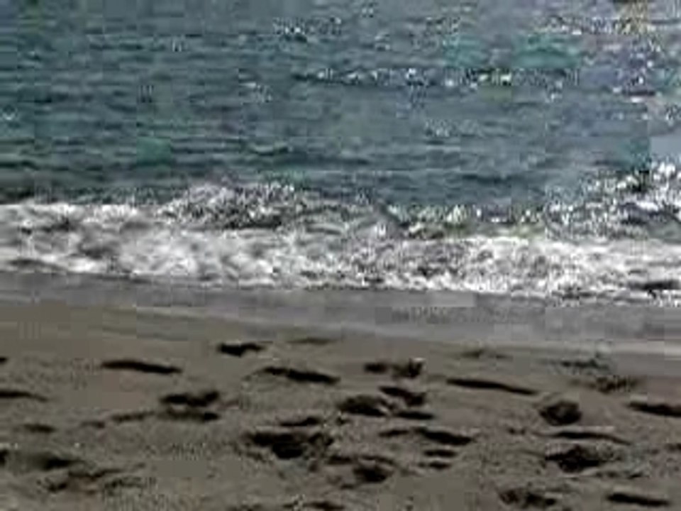 Régates entre SAINT-CYPRIEN et CANET PLAGE