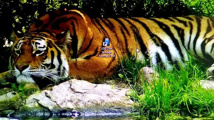 USB Disk Storage Format Tool 2017.