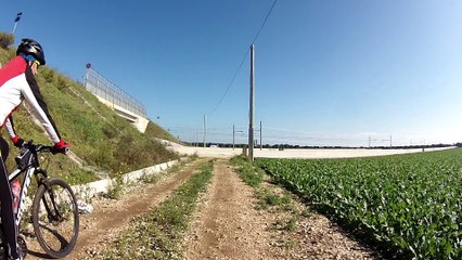 max & angelo - ottobre 2016 -