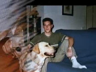 segundo tributo a mi perro enfermo